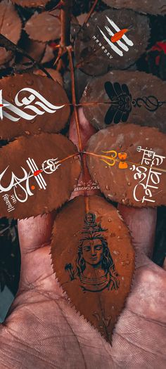 a hand holding several leaf shaped chocolates with arabic writing on them, in the palm of someone's hand