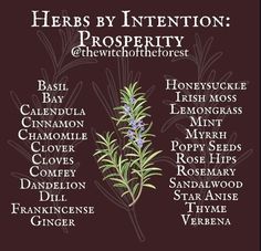 herbs by intention poster with the names