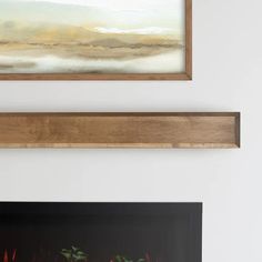 two framed paintings on the wall above a fire place with plants and flowers in it