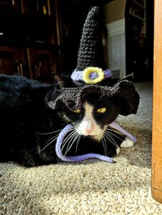 a black and white cat wearing a crocheted hat