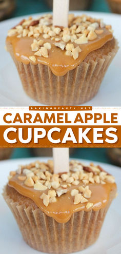 Want something new on your Thanksgiving dinner party menu? Learn how to make Caramel Apple Cupcakes! Finished with a caramel topping, these apple spice cupcakes are a decadent yet simple Thanksgiving dessert. Save this easy apple recipe and enjoy this cupcake flavor idea! Apple Shaped Cupcakes, Thanksgiving Desserts Apple, Apple Spice Cupcakes, Caramel Apple Cupcakes, Apple Cupcakes, Cake Recipes From Scratch