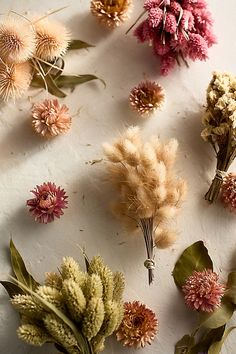 dried flowers are arranged on a white surface