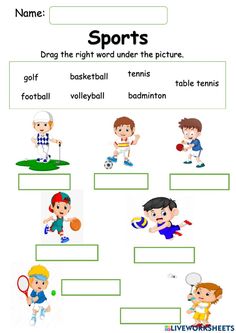 the sports team worksheet for kids