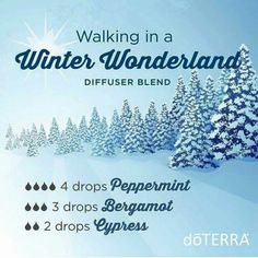 Diffuser blend Holiday Song, Doterra Diffuser, Cypress Essential Oil