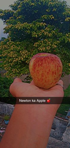 someone holding an apple in their hand with the caption newton ker apple on it