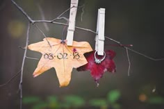 two autumn leaves hanging from clothes pins with the date 2080 written on one end