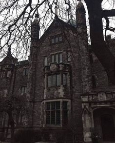 an old stone building with trees in the foreground and no leaves on the ground