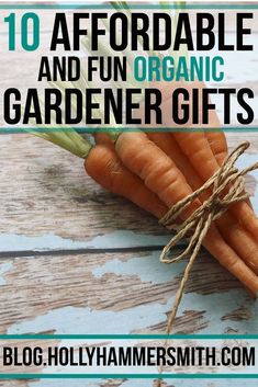 Organic Gardener GiftsFrom tools that aid in their gardening practicesto education and simply neat gardening giftsthis list will provided ideas for organic gardener gifts. Gardener Gifts, 10 Gift Ideas, Growing Organic Tomatoes, Beginner Gardening, Saving Money Tips, Bonsai Seeds, Organic Gifts, Gardening Gifts