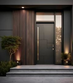 an entrance with steps leading up to the door and potted plants on either side