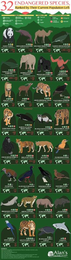 an illustrated poster showing different types of animals