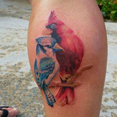 two birds on a branch tattoo on the leg, one blue and one red bird