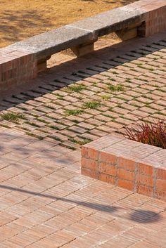 a bench sitting on the side of a brick road next to a flower pot with grass growing in it