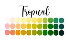 the word tropical written in black ink on a white background with colorful squares and dots