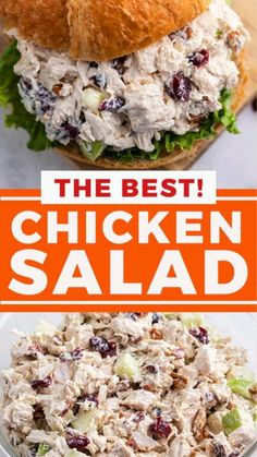 chicken salad with cranberries and lettuce in the middle