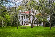 an old white house with trees in the foreground and green grass on the ground