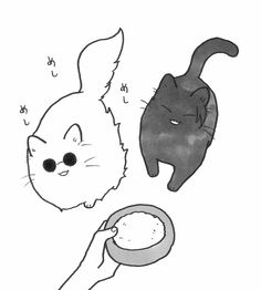 a cat and a dog are depicted in this black and white drawing