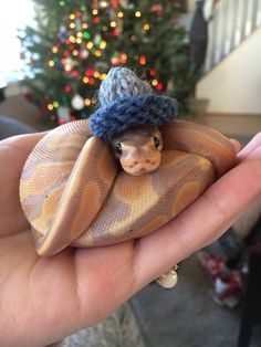 a hand holding a small doll with a hat on it's head in front of a christmas tree