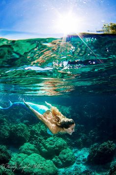 a turtle swimming in the ocean with sun shining on it's back and its head above water