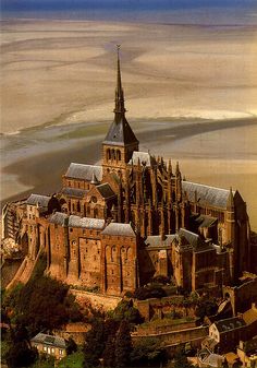 an aerial view of a large cathedral in the middle of a city with tall spires