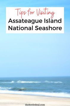 the beach with text overlay that reads tips for visiting assateaue island national seashore