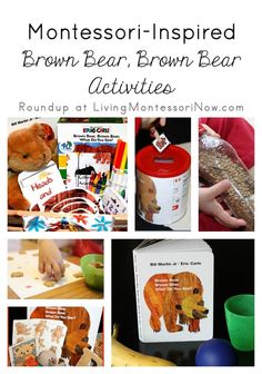 montessori - inspired brown bear brown bear activities