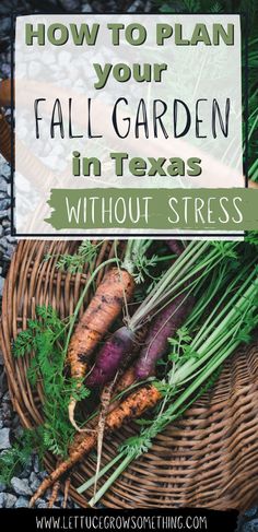 Fall Garden in Texas without Stress Fall Garden Vegetables Zone 8, Texas Fall Garden, Fall Planting Guide, Lettuce Grow, Vegetable Planting Guide, Fall Crops, Texas Plants, Fall Veggies, Fall Gardening