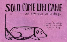 a sign with a dog on it that says, solo come un cane as lonely as a dog