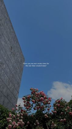 the sky is very blue and there are pink flowers in front of it with an inspirational quote