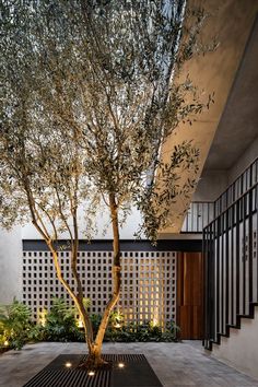 a tree in the middle of a courtyard with lights on it's sides and an iron grate floor