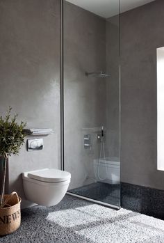 a bathroom with a glass shower door and toilet next to a potted plant on the floor