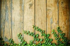 green leaves are growing on the side of a wooden wall