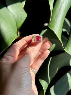 hand-carved and cast sterling silver ring with deeply saturated fuschia and gold tourmaline. Size: 7 Tourmaline Ring, Sterling Silver Ring, Pink And Gold, Tourmaline, Silver Ring, Sterling Silver Rings, Hand Carved, Silver Rings, Size 7