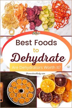 the words best foods to dehydraate are displayed above an image of oranges and