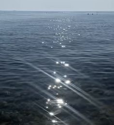 the sun shines brightly on the water as it reflects off its surface in this photo