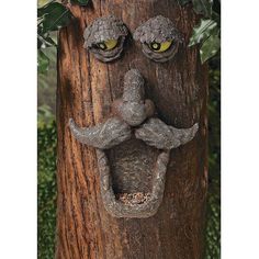 a tree that has some kind of face on it