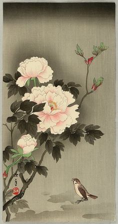 Sparrow and Peonies by IMAO Keinen, 1930s, Japan Japanese Paintings, Art Chinois, Japanese Drawings, Asian Painting, Japanese Woodblock, Japanese Flowers, Japanese Woodblock Printing, Art Japonais, Japanese Painting