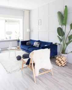 a living room filled with furniture and a large plant