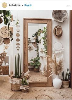 a room filled with lots of potted plants next to a large mirror on the wall