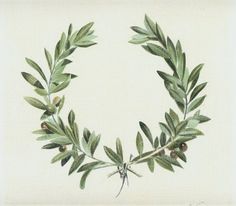 an olive wreath with leaves and berries is shown in this antique illustration from the late 19th century