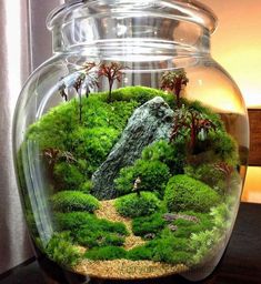 a glass jar filled with green plants and rocks