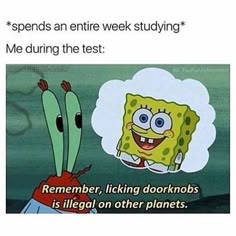 I really hope this isn't me today or tomorrow cause I test Fallout Perks, Memes About School, Spongebob Quotes, Spongebob Cartoon, Funny Spongebob Memes, Spongebob Funny, About School, Sponge Bob, Funny Life