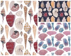 three different patterns of shells and seashells