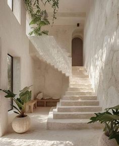 the stairs are lined with plants and potted plants in front of them on either side of the house