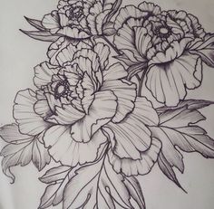 a drawing of some flowers on a white sheet with black and grey inking in it