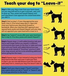 a poster describing how to teach your dog to leave - it