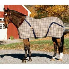 a brown horse standing on top of a gravel road