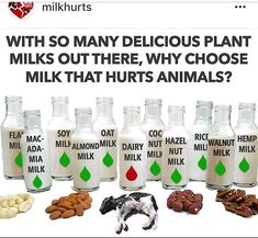 an image of milks and nuts with the caption milk that says milk may be delicious