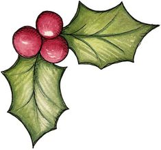 a drawing of holly with red berries and green leaves