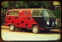 an old van with black and red polka dots painted on the side is parked in front of some bushes