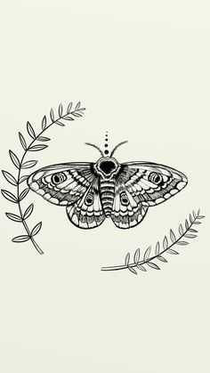 a black and white drawing of a moth